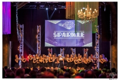 Tjap Pintoe for Sparkle 2015
